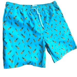 NWT Public Art Swim Trunks Mens Large
